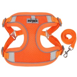 Mesh Breathable Pet Harness for Small Medium Dogs Outdoor Puppy Dog Harnesses and Leash for Walking Pomeranian Mascotas Supplies