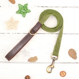 Personalized Dog Collar Leash PU Leather Dog Collars With Walking Lead Rope Free Custom Pet ID Necklace for Small Large Dogs Pug