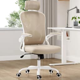 Farini Ergonomic Office Chair, Home Office Desk Chair with Adjustable Lumbar Support, Headrest & Armrest, High Back Computer Chair for Work, Study