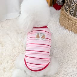 Thin Cooling Dog Dress Striped Dog Clothes Summer Puppy Skirts Girls Dog Costume Chihuahua Clothing Bichon Dog Supplies 2026 New