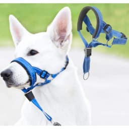 Traction Dog Mouth Cover Training with Nose Ring for Riot Control Adjustable Traction Rope Anti Bite Nose Hair Mask Pet Leash