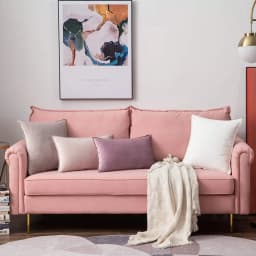 2pcs Set Velvet Throw Pillow Cover Decorative Cushion Case for Sofa Bedroom 30x50cm/45x45/50x50/60x60cm Modern Gift Pillowcase