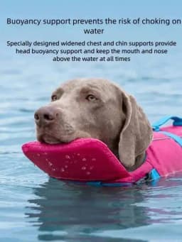 High Buoyancy Dog Life Jacket Adjustable Safety Flotation Vest For Small Medium Large Dogs Swimming Activities