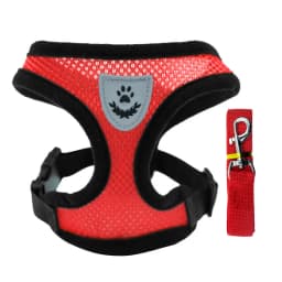 Hot summer small dog pet chest and back breathable dog chest and back suit cat outdoor traction rope child collar