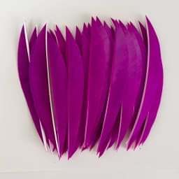 50 Pcs 5" IBOUNFOX Turkey Arrow Feather Shuttle Shape Archery Feather Fletching 5 Inch for Arrow Accessories -Right Wing
