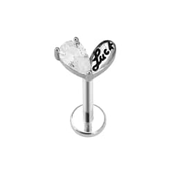 Heart Bird Flower Butterfly Labret Piercing Eye Shape Daith Conch Earring Teardrop CZ Lip Stud 316L Surgical Steel 16G