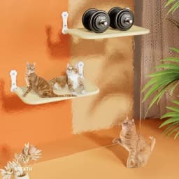 New Suction Cup Cat Hammock Foldable Hammock Suspended Nest Cat Bed Balcony Window Glass Pet Furniture and Beds Cat Supplies