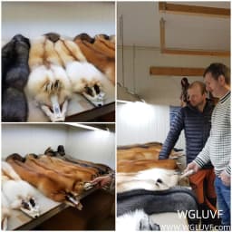 Women's polyester jacket, custom-made with faux fur