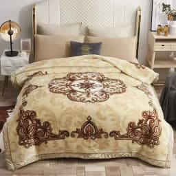 New Warm Weighted Blankets for Beds High End Thicken Warmth Raschel Blanket for Winter Autumn Double Side Plush Comforter Quilt