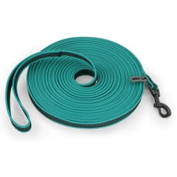 1.5M/5M/3M/2M Medium Small Long Dog Leash Latex Silk Easy and Convenient Training Big Dual Color WALK THE Dog Leash 10 Meters