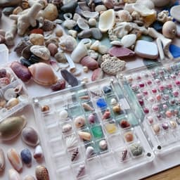 Clear Acrylic Magnetic Display Case 36-Grid Transparent Organizer for Seashells Starfish Jewelry Trinkets Jewelry Making Display