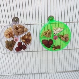 Rotate Pet Parrot Toys, Wheels, Bite Chewing, Foraging Food Box, Cage Feeder, Birds Accessories