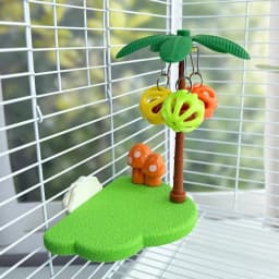 Coconut-shaped Bird Perch Stand Detachable Funny Parrot Play Stands Cartoon Wear Resistant Birdcage Platform