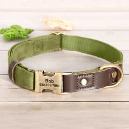 Personalized Dog Collar Leash PU Leather Dog Collars With Walking Lead Rope Free Custom Pet ID Necklace for Small Large Dogs Pug
