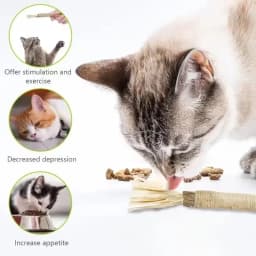3-Piece Cat Play Set, Durable Cat Mint Bamboo Cat Scratching Post, Indoor Cat Toothbrushing and Chewing Stick