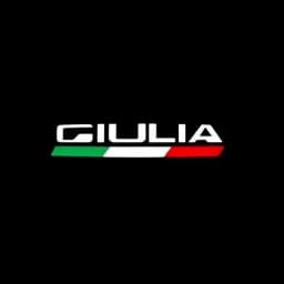 2 LED Car Door Logo Lamp Projector Laser Lights For Alfa Romeo Accessories Stelvio Brera Spider Giulia Giulietta 159 166 GT Mito