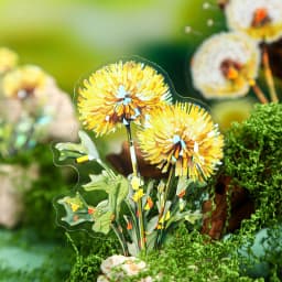 10 pcs Dandelion stickers DIY Scrapbooking Planner Collage Diary Supplies Aesthetics Sticker Stationery