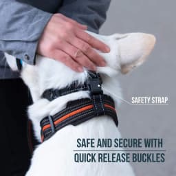 Traction Dog Mouth Cover Training with Nose Ring for Riot Control Adjustable Traction Rope Anti Bite Nose Hair Mask Pet Leash