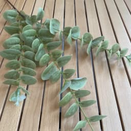 10Pc 3D Printing Eucalyptus Leaves Artificial Plants Wedding Road Leads Flower Arrangement Home Decoration Party Eucalyptus Leaf