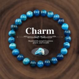 JD Natural Stone Jasper Quartz Beaded Wealth Lucky Bracelets for Women Men Classic Simple Stretch Bangles Yoga Healing Gifts