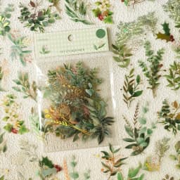 40sheets/pack Transparent PET Stickers Scrapbooking Materials DIY Junk Journal Collage Floral Leaves Plants Decor Stickers