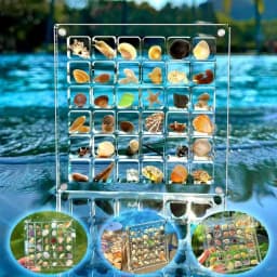Clear Acrylic Magnetic Display Case 36-Grid Transparent Organizer for Seashells Starfish Jewelry Trinkets Jewelry Making Display