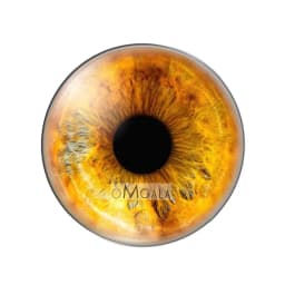 glass eyes cabochons Round 8MM-30MM Round Dome Dragon Eye Dragon Cat Eye Toys DIY Jewelry Accessory MIX Pupil Eye Cameo