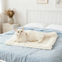 Self-Warming Cat Dog Mat Pet Bed Ultra Soft Fleeces Warm Cozy Comfort Sleeping Mat Universal Machine Washable Pet Furniture