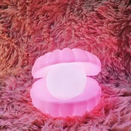 Creative DIY Moonlight Shell Small Night Light LED Feature Assembly Home Decoration Exquisite Kids Toys Adult Gifts