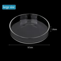 Shrimp Feeding Dish High Transparent Glass Feeding Dish Fish for Tank Clear Feeder Bowl Aquarium Fish Tank Reptiles Feeder
