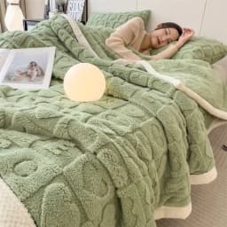 Warm Winter Blanket A Grade Heart Plush Taffeta Fleece Soft Thick Bed Blankets for Sofa Single Double Couple Furry Bedspread