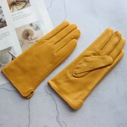 Sheepskin Gloves Women's New Knitted Lining Spring Classic Versatile Multicolor Driving Gloves Leather Autumn