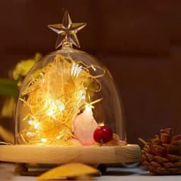 2M Battery Box Timing Light String Copper Wire Fairy 3AA Battery 20LEDs Cold Warm White for Christmas Party Wedding Decorations