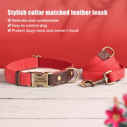 Personalized Dog Collar Leash PU Leather Dog Collars With Walking Lead Rope Free Custom Pet ID Necklace for Small Large Dogs Pug