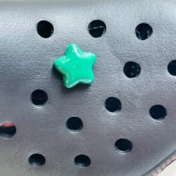 1-6Pcs Cartoon Animal Sheep Turtle Bear Elephant Duck Resin Shoe Charms Decorations for Bands Garden Shoes Button Accessories