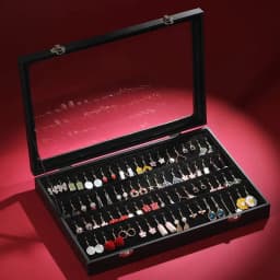 Velvet Clear Lid Earring Box Organizer Storage 32 Pairs Earrings Stud Tray Showcase Display Case