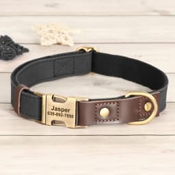 Personalized Dog Collar Leash PU Leather Dog Collars With Walking Lead Rope Free Custom Pet ID Necklace for Small Large Dogs Pug