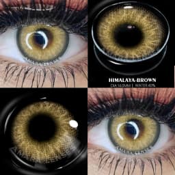 AMARA Natural Colored Contacts Lenses Brown 2pcs Contacts Beautful Pupils Color Contacts Yearly Makeup Cosmetic Contact Lens