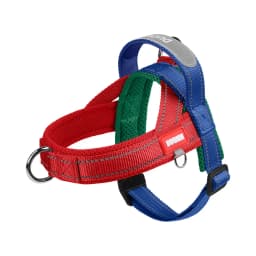 Dog Pet Chest Harness Wide Webbing Two-Color Contrasting Four Seadon Dog Harness Nylon Handle Outdoor Dog Walking Reflective
