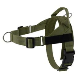 Personalized Reflective No Pull Harness for Small Medium Dog Washable Explosion-proof Comfort Dog Harnesses Pechera Para Perro