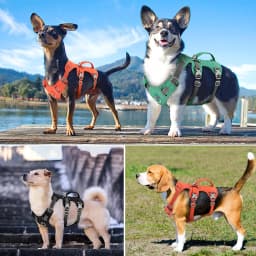 Reflective Big Dog Harness Nylon Durable Pet Vest With Handle Adjustable for Small Medium Large Dogs Bulldog Walking Training