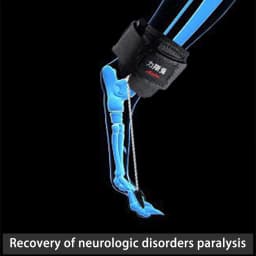 Dog Knuckling Corrector Toe Dragging Brace for Rear Back Leg Paw with Sciatic Nerve Injuries. Myelopathy and Spinal Injuries