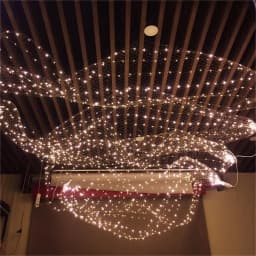 E2 Wedding Net LED String Lights 1x5/10m Roll Festival Party Hotel Ceiling Fairy Light Decorat DIY Meshes Starry Sky Rice Lamp