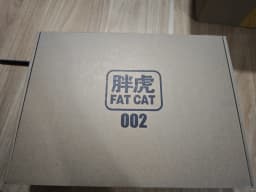 In Stock FAT CAT Model MG 1/100 GOD Assembly Model Kit Special RG 1/144 Enlarged Version Action Figure Plastic Model Kits Toy