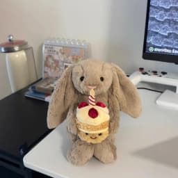 Cute Bunny Hood Bathrobe Teddy Bear Plush Doll Soft Stuffed Animal Sofa Decor Birthday Valentine Gift Cuddle Companion Toy