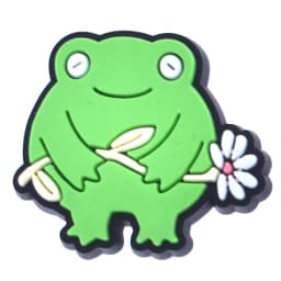 Funny Frog Shoe Charms for Crocs Accessories Men Clogs Pins Women Badge Boy Girl Jeans Kids Decorations Buckle Shoes Accessories
