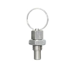 Index Plunger Stainless Steel 304 Pull Ring and Lock Nut Screw Index Plungers with Ring and Lock Pin M6 M8 M10 M12 M16