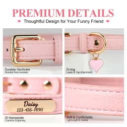 Luxury & Soft Leather Personalized Dog Collar and Pendant Pet Puppy Cat ID Nameplate Engraved for Small Medium Dogs