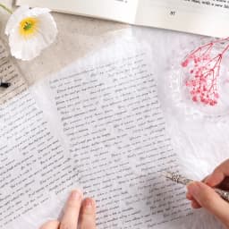 Vintage English Words Material Waterproof PET Sticker Creative DIY Scrapbook Collage Junk Journal Background Decoration Sticker