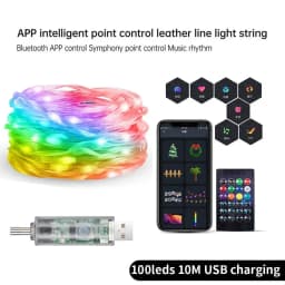 Smart Fairy RGB String Light USB 10M/33FT Waterproof String Light with App Control, Sync to Voice & Music Valentine's Day Decor